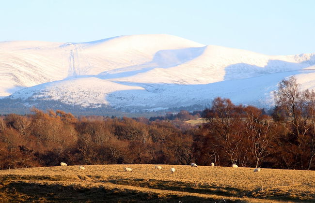 Shetland Cottage - Foto 33