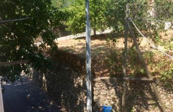 Gli dei e le Rose - Foto 40