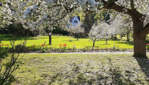 Die Malche Gäste und Tagungshaus 17 - Foto 2