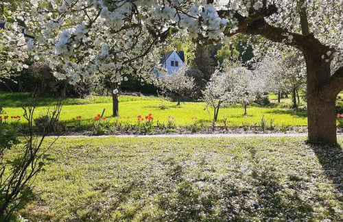 Die Malche Gäste und Tagungshaus Villa App 13 - Foto 19