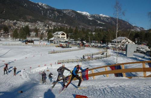 Mansarda Vigezzina Locazione Turistica - Foto 55