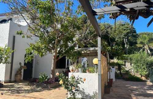 Casa del Sileno 12 - Foto 3