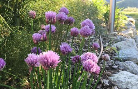 Agriturismo Corte Dei Mori - Photo 66