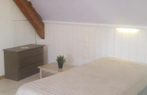 Gîte 18ème avec jardin, jeux, et ateliers cuisine près de l'Abbaye de Pontlevoy. - FR-1-491-349 - Photo 14