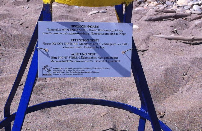 Matzi Apartments - Foto 13