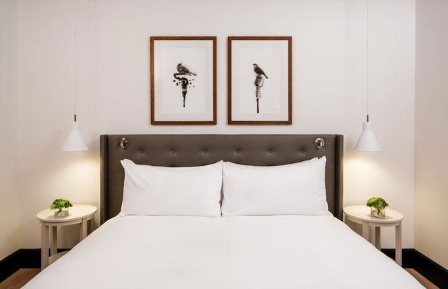 Hotel William Gray - Foto 12