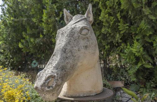 El Paller de Cal Maso - Foto 23