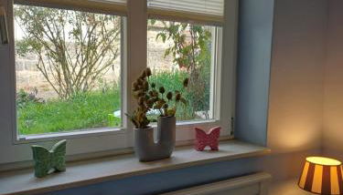 Lateinschule - Foto 2