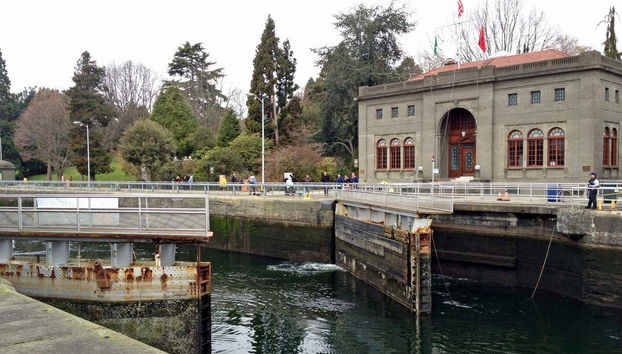 Seattle Panoramic Bus Tour - Foto 3