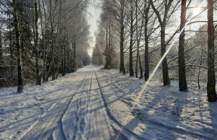 Domek całoroczny nad jeziorem Budzislawskim, Wielkopolska na wynajem - Foto 31