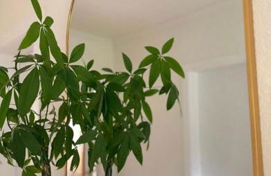 Heidezauber für 2-4 Personen - Foto 11