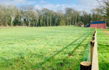 Secluded cottage with hot tub - Foto 19