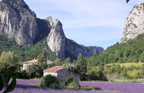 Villa provençale et familiale - Foto 41
