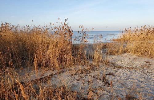 Ferienwohnung Austernfischer Marina Wendtorf - Foto 32