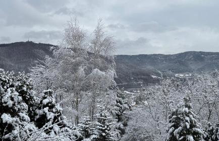 Dom w górach Saganówka Beskidy - Foto 36