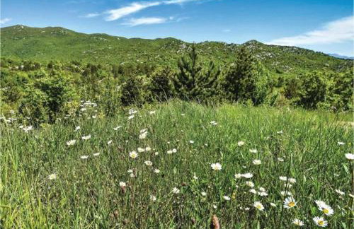 Bonaventura - Countryside Villa near Split with Private Pool - Photo 71