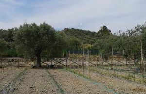 Agriturismo Donna Beatrice - Foto 45