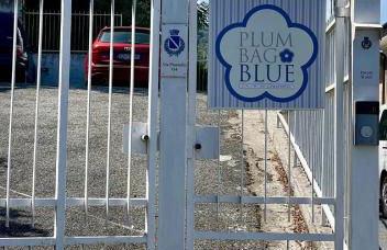 plumbago blue - Foto 22