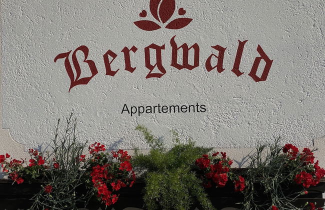 Alpbach Bergwald - Foto 38