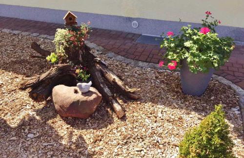 Ferienhaus Zschieck - Foto 2