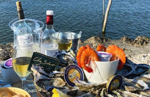 Mobil home Fare iti Cap Ferret, avec climatisation - Foto 32