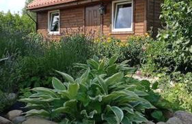 Uroczy domek na Mazurach - Foto 1