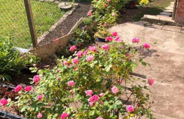 Le Kesbel entre Strasbourg et Colmar en centre Alsace - Foto 18