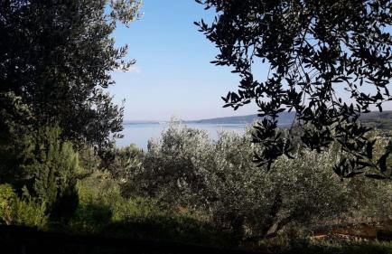 La Cerasa - il Lago fuori - Foto 67