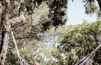 Cabanas de Melides - Foto 45