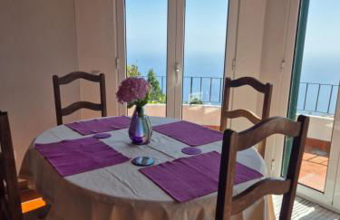 Apartamento Charmoso no Funchal, com grande Jardim e Vista Esplêndida - Foto 26