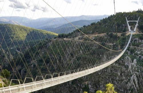 Trebid'Ouro - Foto 20