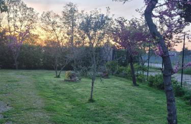 Farfalle in fiore Guesthouse - Foto 21