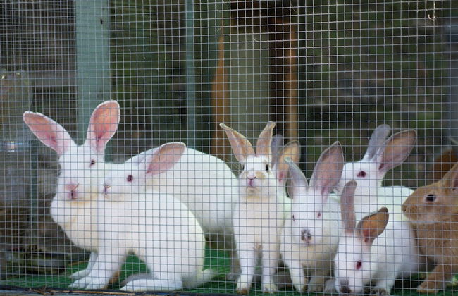 Spacious Holiday Home in Vicchio With Private Pool - Foto 53