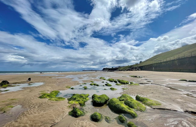 Fayvan Apartments - Photo 50