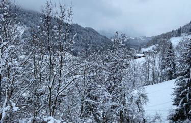 Chalet Soleya - Photo 6