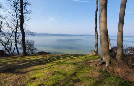 Ferienwohnung Stein - Foto 12