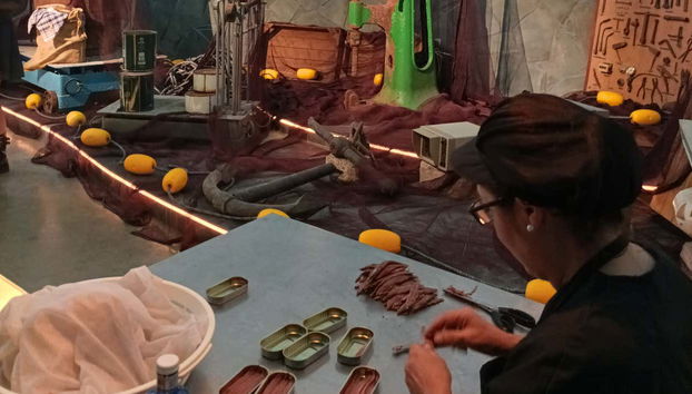 Tour of Port and Fish Market in Santoña + Anchovy Museum - Foto 2