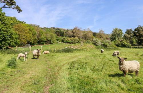 Beachcombers - Photo 32