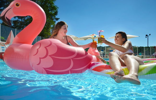 VVF Corrèze Pays d'Eygurande - Photo 52