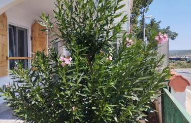 Apartman VTS - Photo 30