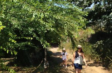 Casa do Vale de Gondra - Foto 27