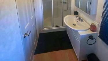 The Wee Sprout - Photo 4