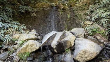 Cantinho da Inês Alojamento Local - Foto 5