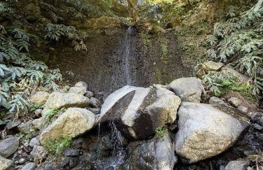 Cantinho da Inês Alojamento Local - Foto 5