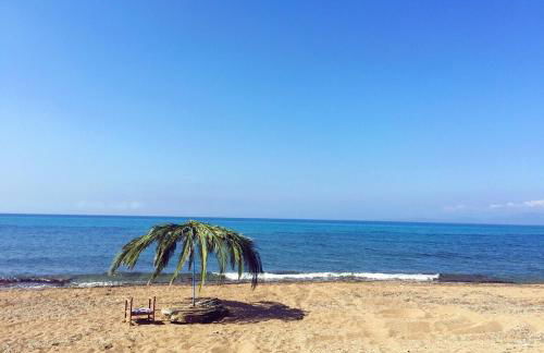 Kipriotis Hotel - Foto 32