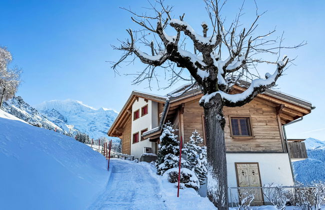 Silberhorn Apt. V - Photo 29