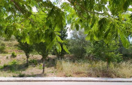 Casa Rural El Cerrete 2 - Foto 12