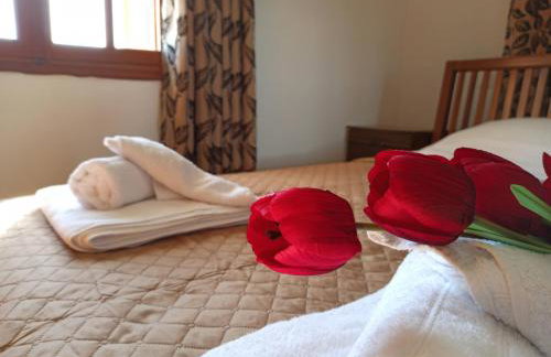 Μπαλκόνι του Αιγαίου father's house in Kimi - Photo 42