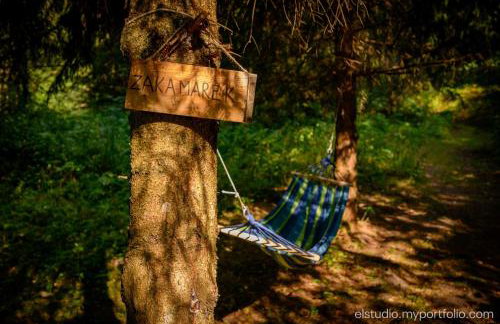 Orzechowy domek - Foto 41