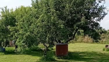 Hof Baethcke - Foto 4